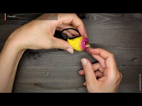 Видео: Птичка