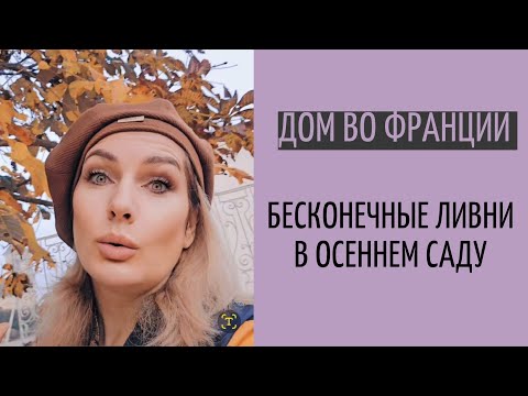 Видео: 2 недели спустя, сравниваем газоны | подрезаю розы