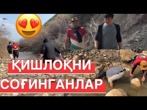 Видео: ҚИШЛОҚНИ СОҒИНГАНЛАР МАРҲАМАТ #laqaynews #rek #animals #shortvideo #shorts #fishing #рибалка