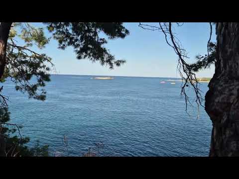 Видео: 06.10. 25 г. ТУРЦИЯ. АЛАНИЯ. ПРОГУЛКА ПО БЕРЕГУ.