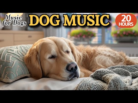 Видео: 24 часа успока-ивающей музыки для собак🐶💖Помогает собаке расслабиться🦮🎵Меньше стресса