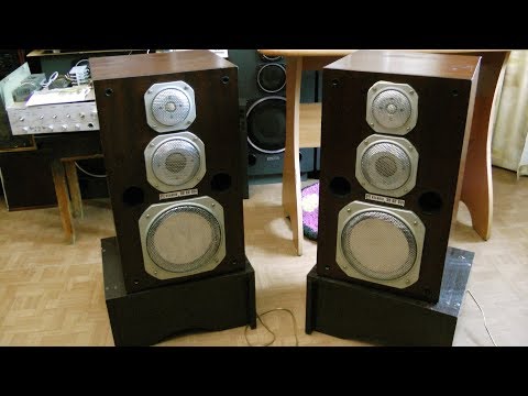 Видео: Эстония 35АС-021 раны залечены и пришло время послушать