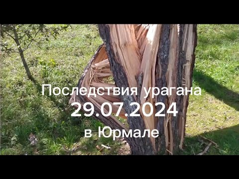 Видео: Юрмала через 2 недели после урагана 29.07.2024 Последствия #ураган #юрмала #латвия #jurmala