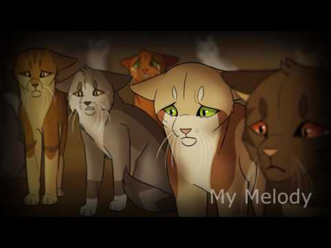 Видео: Коты - Воители - Pork Soda