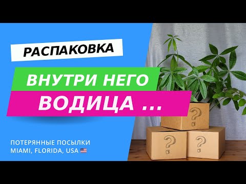 Видео: Это было забавно! Потерянные посылки и обзор товаров в США, Флорида.