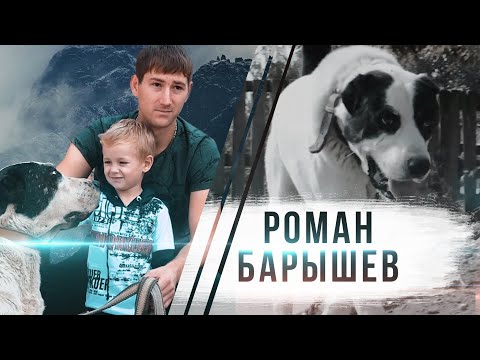 Видео: ЗАМЕТКИ КИНОЛОГА: Физическая подготовка и кормление алабаев