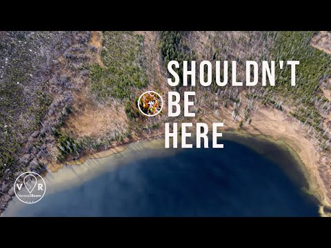 Видео: Я НАШЕЛ обломки самолета с СЕКРЕТНЫМ ОРУЖИЕМ в горах Айдахо