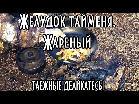 Видео: Жареный желудок тайменя. Таежные деликатесы в вашем доме.