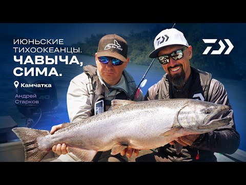 Видео: Июньские Тихоокеанцы на Камчатке / Чавыча x Сима / Андрей Старков