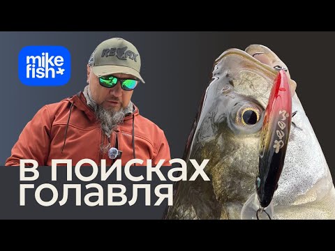 Видео: Как не поймать голавля на прекрасной речке