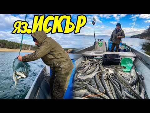 Видео: Лодка ПЪЛНА СЪС СОМОВЕ. ЗАРИБЯВАНЕ НА Язовир ИСКЪР СЪС СОМ И БЯЛА РИБА
