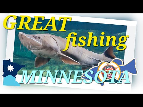 Видео: Great fishing или необычная рыбалка.