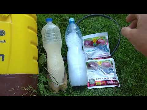 Видео: КОЛЛОИДНАЯ СЕРА-СУПЕР СРЕДСТВО🍇🍎🍐🍓🌱