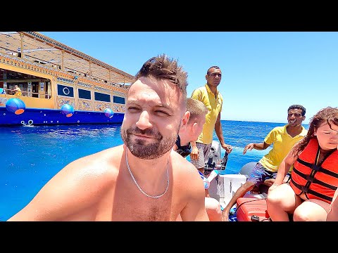 Видео: МАРСА-АЛАМ. В ПОИСКАХ АКУЛ! Обед на лучшей яхте! Смотрим морских черепах