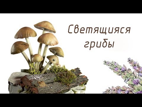 Видео: Светящиеся грибы ночник из полимерной глины | Мастер Класс