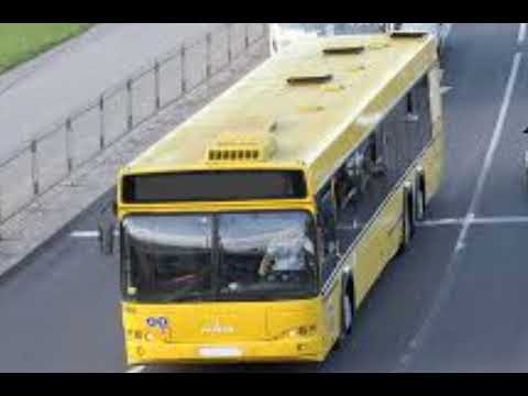 Видео: Информатор автобусного маршрута №3с (озвучка Александра Крапиневича)