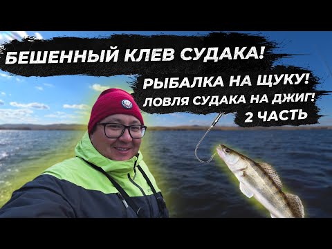 Видео: Рыбалка на судака. Судак на джиг 2021. Рыбалка на спиннинг. РЫБАЛКА 2021. fishing.  Часть 2