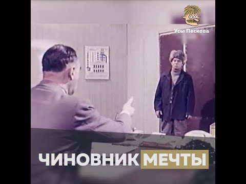 Видео: Чиновник мечты