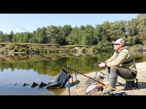 Видео: Десна Радує Уловом. Риболовля на Фідер