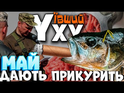 Видео: ТЦК проти ухуївших РИБАКІВ