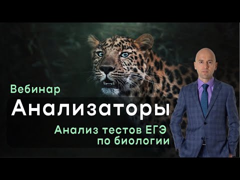 Видео: Анализаторы. Важные задания прошлых лет.