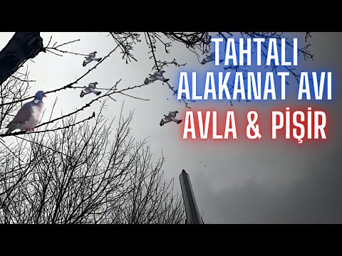 Видео: Tahtalı Avı | Av Eti Pişirmesi | Hunting | охота | a caccia