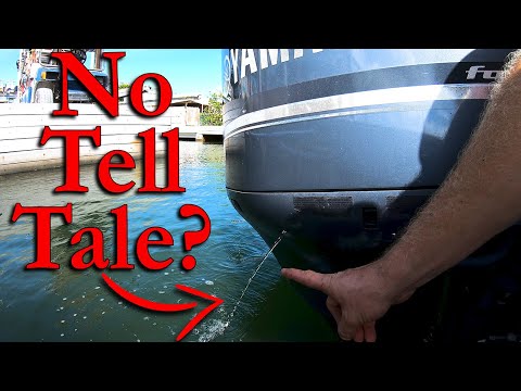 Видео: Подвесной мотор не мочится? СДЕЛАЙТЕ ЭТО!