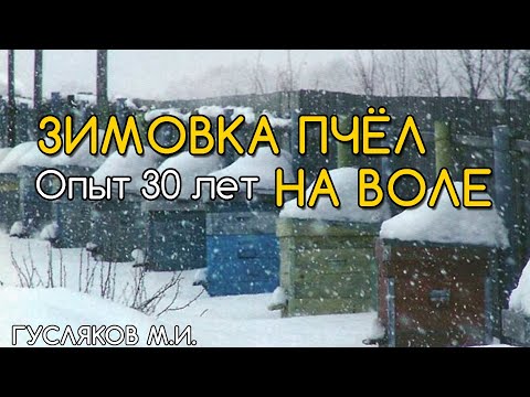 Видео: Зимовка пчёл на воле. Различные способы. Гусляков М.И.