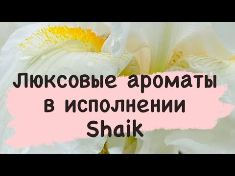 Видео: Люксовые хиты от Shaik. Да или нет? Сравниваем версию Shaik и Enfes.