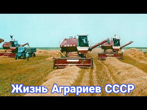 Видео: Жизнь аграриев в СССР. Чем занимались колхозы летом.