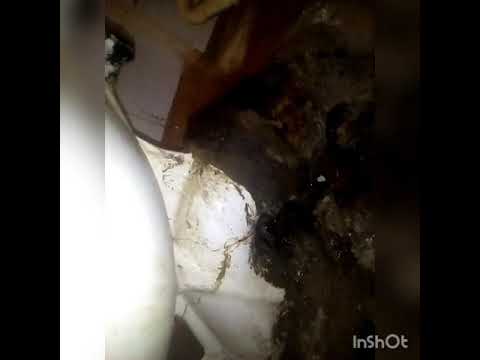 Видео: Дикий ужас или замена унитаза в старой квартире
