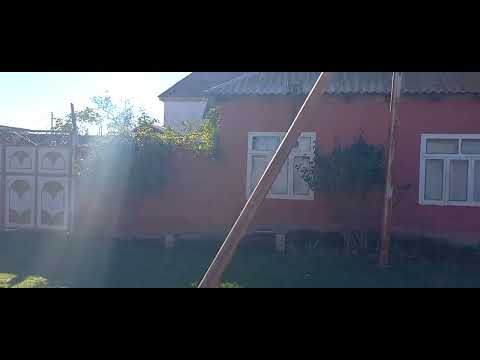 Видео: Мухтадыр. Рыбкоп,Второй.