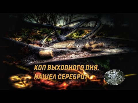 Видео: Коп выходного дня. Поле не распахано, коп в подлеске.