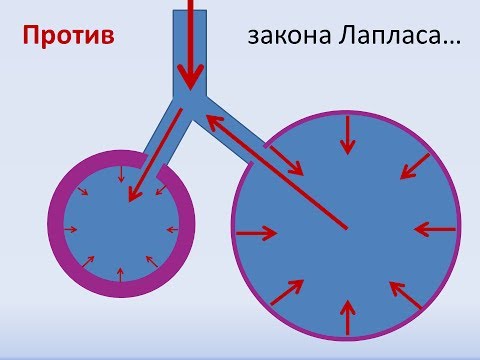 Видео: РДС новорженных Лаплас Сурфактант  Горячев А.С.