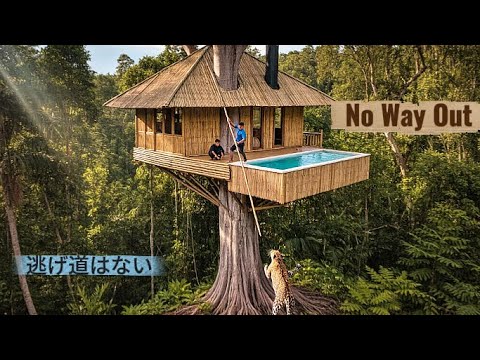 Видео: Двое мужчин неожиданно наткнулись на эту сцену, когда строили убежище, чтобы выжить в лесу.