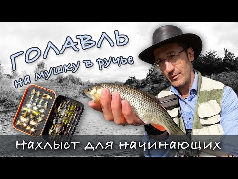 Видео: НАХЛЫСТ для начинающих: Голавль на мушку в ручье | FLY FISHING for chub
