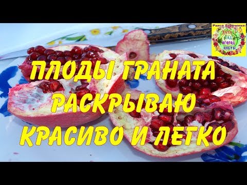 Видео: Плоды граната раскрываю красиво и легко