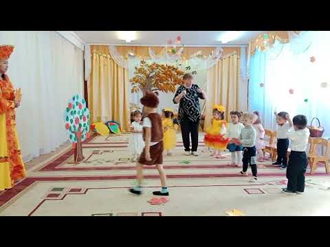 Видео: 22 октября 2025 г.