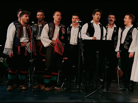 Видео: Ансамбл ВИЛА - Врани се коњи седлају