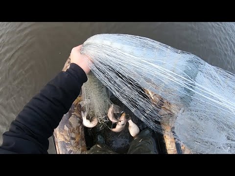 Видео: НАШЁЛ СКОПЛЕНИЕ КРУПНОЙ РЫБЫ!!! КАРАСИ ГИГАНТЫ НА КАСТИНГОВУЮ СЕТЬ...УДАЧНОЕ ЗАКРЫТИЕ СЕЗОНА...