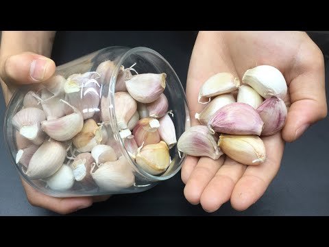 Видео: Как хранить чеснок целый год, не давая ему засохнуть и прорасти!