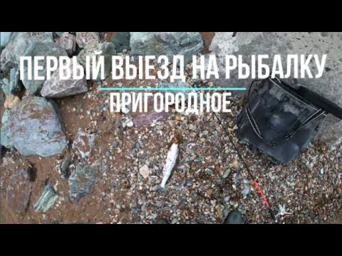 Видео: Сахалинская рыбалка ПРИГОРОДНОЕ ГОРБУША