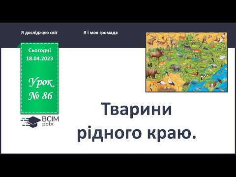 Видео: ЯДС 1 клас. Урок 86. Тварини рідного краю.