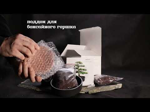 Видео: Набор для создания бонсай "Сад Радости", "Мирт"