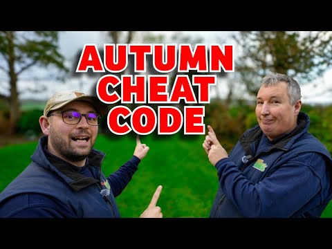 Видео: 5 главных секретов ухода за газоном в ноябре, которые нужно успеть реализовать до наступления зимы