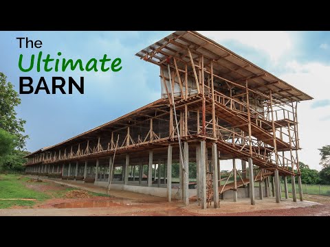 Видео: ИДЕАЛЬНЫЙ курятник.