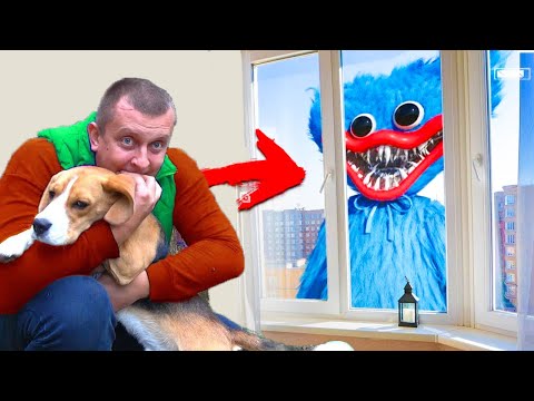 Видео: ХАГИ ВАГИ ПРОТИВ ШЕРЛОКА. PLAYTIME БРОС ШОУ ПЕТ