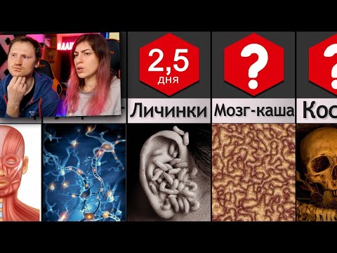 Видео: ТЕЛО человека после СМЕРТИ | РЕАКЦИЯ на НаучПоп