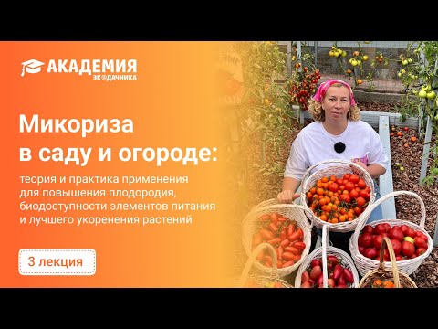 Видео: Микориза в саду и огороде советы Марины Рыкалиной и фитопатолога Ирины Ивановой