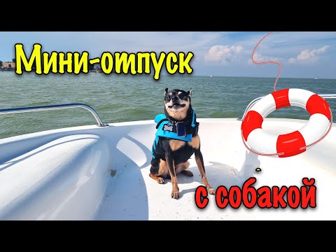 Видео: Павло-Очаковская коса или как Той в отпуск ездил
